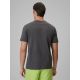 2. Men's regular printed T-shirt 4F 4FRSS26TTSHM4301-22S