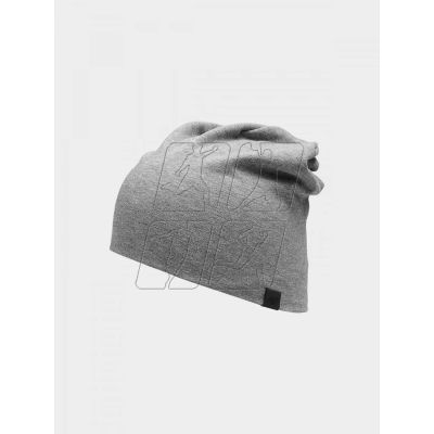 Winter hat 4F 4FWAW24ACAPU513-20S