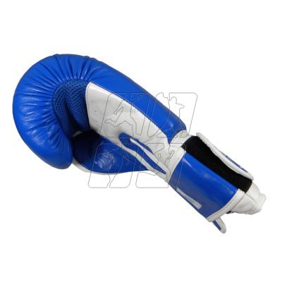 9. Leather boxing gloves MASTERS RBT-TRW 01210-02