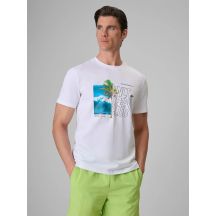 Men's regular printed T-shirt 4F 4FRSS26TTSHM4303-10S