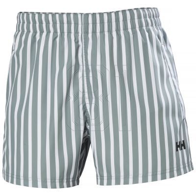8. Helly Hansen Newport Trunk M 34296 485 Swim Shorts
