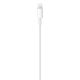3. Apple USB-C to Lightning Cable (2 m)