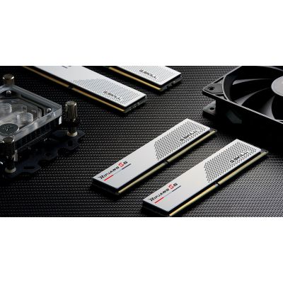 4. G.Skill Ripjaws S5/F5-5600J3636D32GX2-RS5W Memory Module 64GB 2 x 32GB DDR5 288-pin DIMM