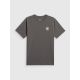 5. Men's regular printed T-shirt 4F 4FRSS26TTSHM4293-22S