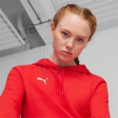 14. Puma Team Goal Casuals Hoody W 658621 01