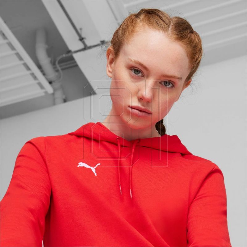 14. Puma Team Goal Casuals Hoody W 658621 01