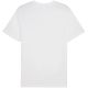 3. Puma ESS Small Logo Tee M 682538 02