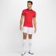 6. Nike Academy 25 SS Top M FZ9754 657