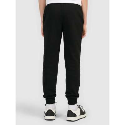 2. Boys' jogger sweatpants 4F 4FJWMM00TTROM1840-20S