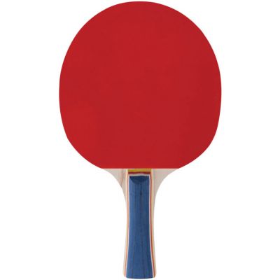 8. SPOKEY TRAINING PRO 81919 PING PONG RACKET