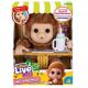 COBI Little Live Pets monkey 26613 00283