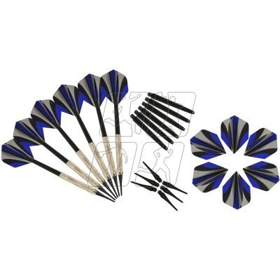 5. Darts Enero 6 pieces 1032993