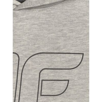 2. Boy's regular hooded sweatshirt 4F 4FJRSS26TSWSM2748-25M