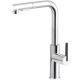 Kitchen tap with pull-out spout