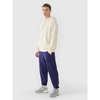 3. Men's jogger sweatpants 4F 4FWMM00TTROM1139-31S