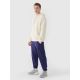 3. Men's jogger sweatpants 4F 4FWMM00TTROM1139-31S