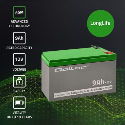 2. Qoltec 53031 gel battery