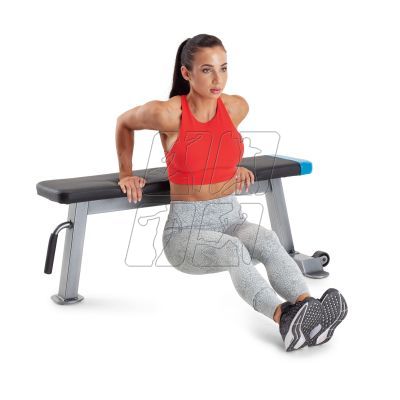 26. Proform Carbon Strength PFBE09620 horizontal bench