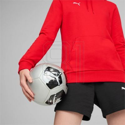 13. Puma Team Goal Casuals Hoody W 658621 01