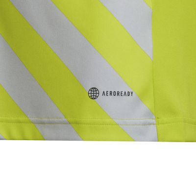10. adidas Entrada 22 Graphic Jersey Jr HF0133