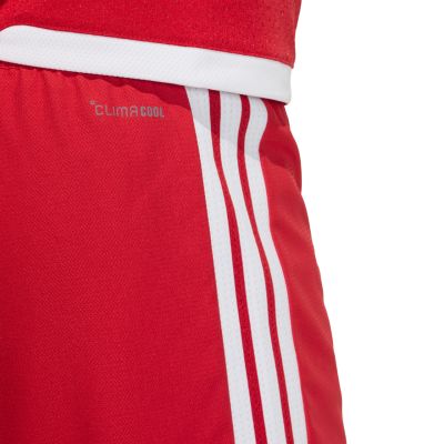 12. Men's adidas Tiro 26 Competition Match shorts red and white KA6179