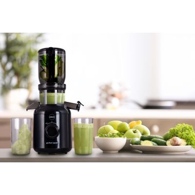 26. ELDOM SLOW JUICER PJ350 250 W BLACK TWO FILTERS NEW GENERATION HEAVY PRESS