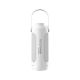 2. RealPower 463610 2W LED outdoor lighting