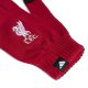 2. adidas Liverpool FC JZ5880 Gloves
