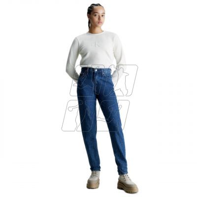 4. Calvin Klein Jeans Mom Fit W jeans 