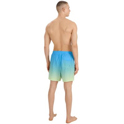 10. Swim shorts 4F M 4FWSS25UBDSM132 33S