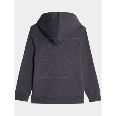 2. 4F Jr sweatshirt 4FJAW23TSWSM634-22S