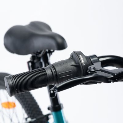 10. Children's Bike Radvik Viking 20 92800597756