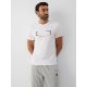 Men's slim T-shirt with print 4F 4FRAW26TTSHM4666-10S