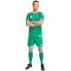 6. Men's adidas Tiro 26 Competition Match Day Shorts Green KA6175