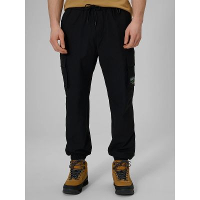 3. Men's casual cargo pants 4F 4FRAW25TTROM1690-20S