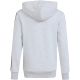 2. adidas Essentials Full-Zip Hoodie for Kids Light Gray KQ9050