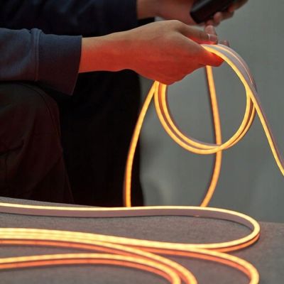 2. Vention Silicone Neon LED Strip with IR Remote Control, USB 5V Power Supply, 2m