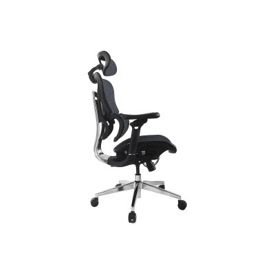 5. Equipment: Ergonomic office chair + headrest/armrests blue/solid Retail