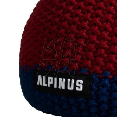 4. Alpinus Mutenia Thinsulate Hat TT18271