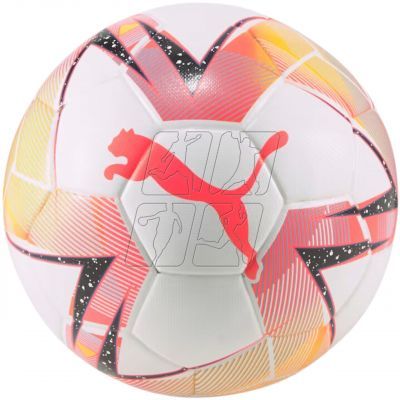 2. Football Puma Futsal 1 TB ball FIFA Quality Pro 83763 01