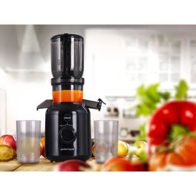 34. ELDOM SLOW JUICER PJ350 250 W BLACK TWO FILTERS NEW GENERATION HEAVY PRESS