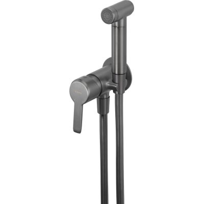 Concealed bidet tap with bidet shower head