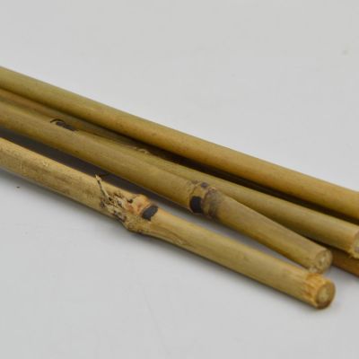17. PROGARDEN BAMBOO PLANT SUPPORT 60 CM 10 PCS