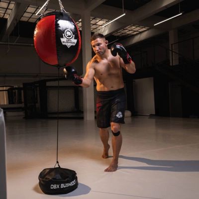 8. Punching bag anchor - DBX Anchor - AB-1