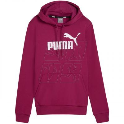 4. Puma ESS Logo Hoodie FL W 586789 52