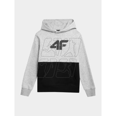 4F Jr sweatshirt 4FJAW23TSWSM628-27M