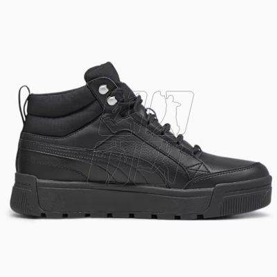 8. Puma Tarrenz SB III Puretex M 393930-01 shoes