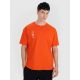 Men's oversize printed T-shirt 4F 4FRSS25TTSHM2652-70S