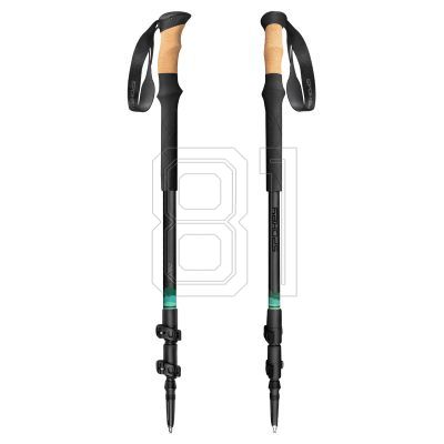 6. Spokey Zodiac trekking poles 105-135 cm three-segment SPK-944819