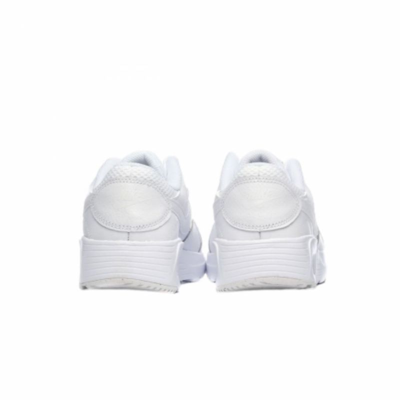 5. Nike Air Max SC W CW4554-101 shoes